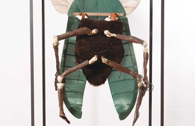 Jan Fabre & Ilya Kabakov (nés en 1958 et 1933), La mouche et le scarabée, 2000