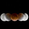 Éclipse totale de Lune : comment la regarder en direct ?  -  FUTURA SCIENCES