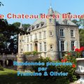 LE CHATEAU DE LA BRIARDE