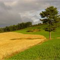 110: Causse Méjean