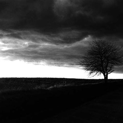 En pleine tempête ... 