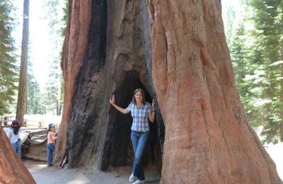 Sequoia National Park