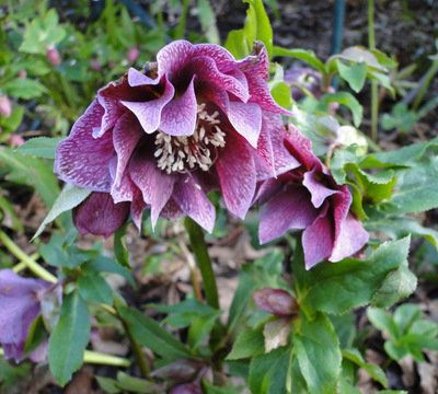 Le temps se radoucirait-il?