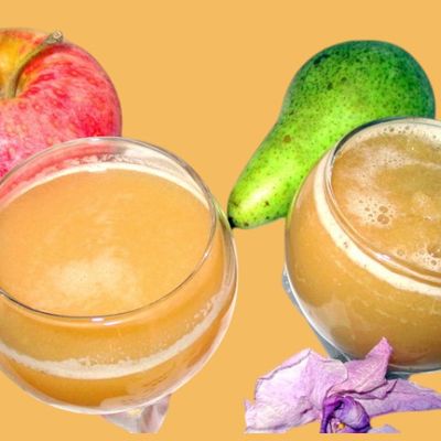 Jus de pommes/poires Centrifugeuse + magnésium