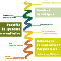 La composition de la Spiruline La Spiruline