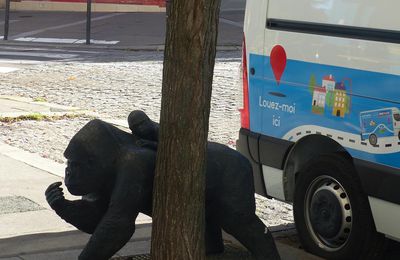 Aller simple pour la jungle urbaine (et un singe sur son dos)