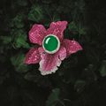 Impressive jadeite, ruby, pink sapphire and diamond 'Orchid' brooch-ring