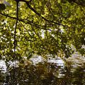 un dimanche sur les bords de l'Erdre