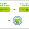 Vous prendrez bien une petite louchée d'air pur ?