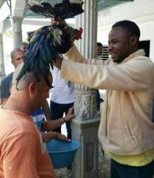 MARABOUT AFRICAIN SERIEUX PARIS: MARABOUT AFRICAIN FRANCE