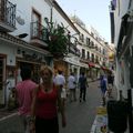carnets de voyage...Marbella en Andalousie #3