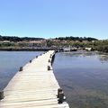 Randonnée du mardi 30 avril 2019 Peyriac de mer Bages