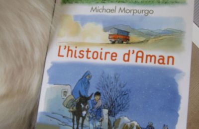 L'histoire d'Aman - Michael Morpurgo
