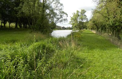 Dans l'Indre à Yseures sur Creuse