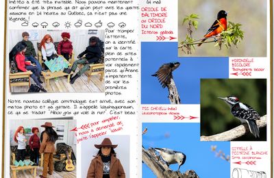 Carnet de voyage - Wash, Grey Owl, l'homme qui voulait être indien, et des photos