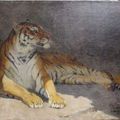 Gustave Surand (1860-1937), Tigre couché