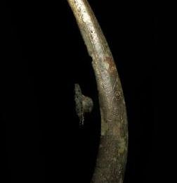 A rare gilt-bronze documentary belt-hook, Eastern Han Dynasty, dated 76 AD and of the period