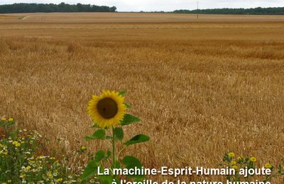 la Machine-Esprit-Humain