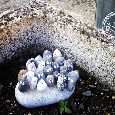 Les habitants de mon jardin