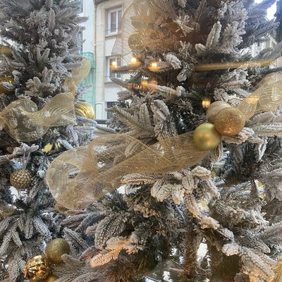 Quelques vitrines de Noël à Dieppe - 2