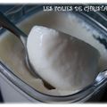 Yaourts au lait de chèvre ( multi délices SEB )