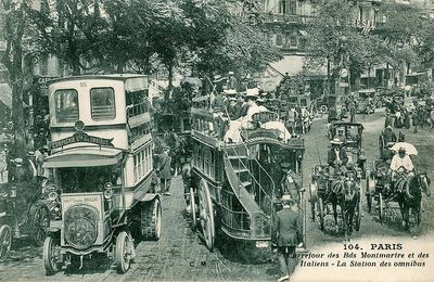 Cheval, ville et mobilité