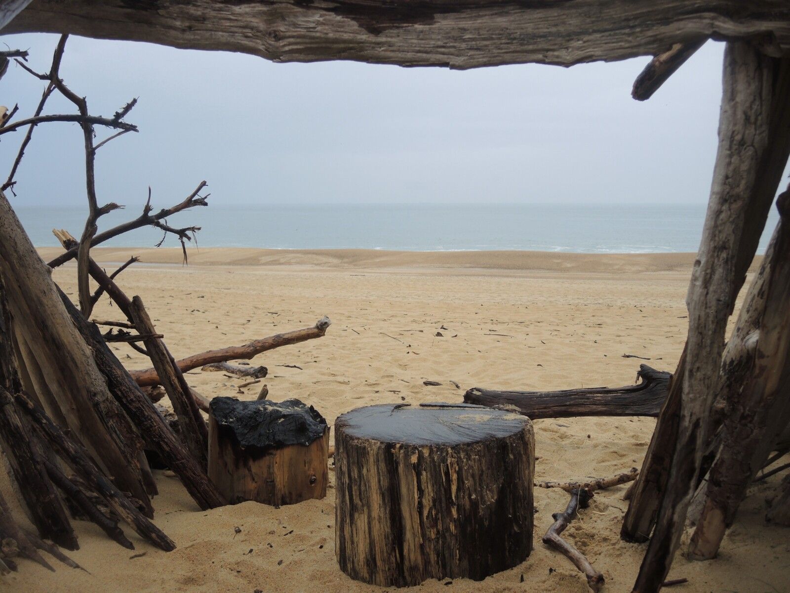 Tarnos, plage du métro, cabane en bois flotté, petit banc, mars 2025 (40)