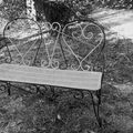 La banc des amoureux / The lovers bench