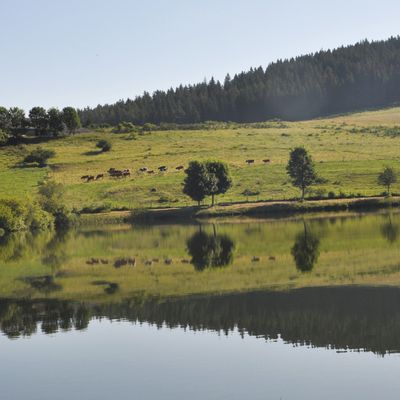 La Banne d'Ordanche
