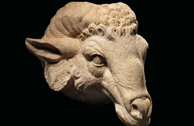A Roman marble head of a ram, circa 1st century B.C.-1st century A.D.