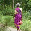 Voyage au Sri Lanka - Heeloya - poursuite de la randonnée et campement en pleine nature