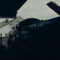 85: train paighton-darthmourth / village miniature