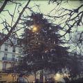 Le Grand Sapin, roi de l'intersection?