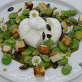 Burrata aux fèves, pesto et graines de courge