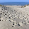 L'instant d'une escapade #7 - Le Touquet, les dunes