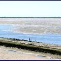 Baie d'Authie