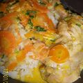 Poulet au rondelles de carottes sauce curry