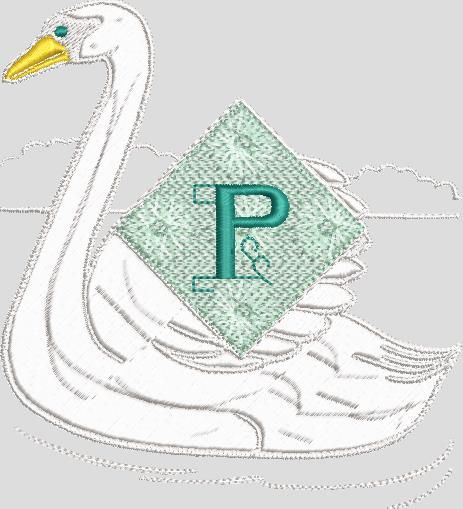 122.70  X  134.80  mms