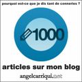 1000 articles sur mon blog ...