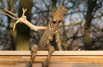P'tit Bonhomme de Bois-villiers