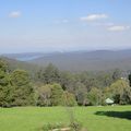 Dandenong Ranges