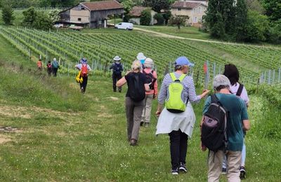 4 mai : Lestiac - 12 km