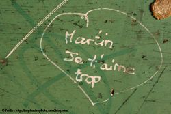 Déclarations d'amour