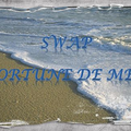 Swap fortune de mer chez Moune