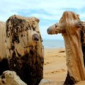 Causerie du bord de mer 