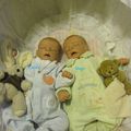 Photos de 2 bébés quasi jumeaux de la nurserie