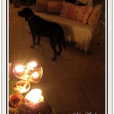 C'est la fête à la grenouille!