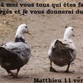 Matthieu 11 verset 28