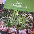 Les Milliminis: La nouvelle maison, par Anne Du Chastel