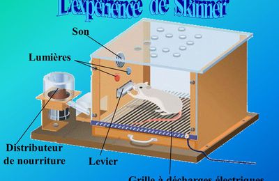 Le système éducatif, machine à conditionner.